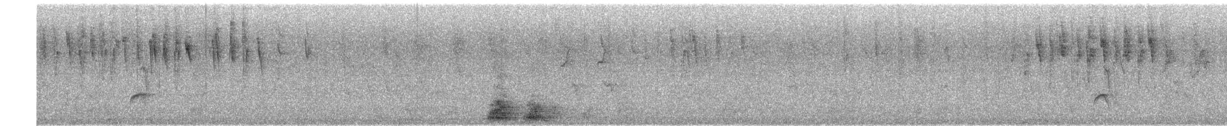 Cinereous Conebill - ML643307869