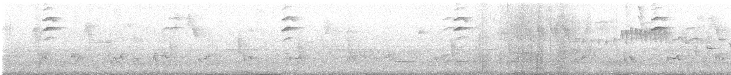 Klages's Antbird - ML643308268