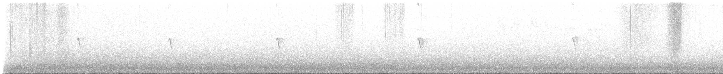 Black Phoebe - ML643308693