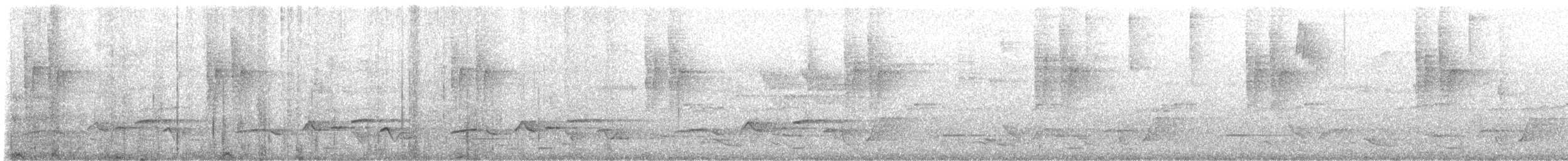 Whiskered Wren - ML643309668