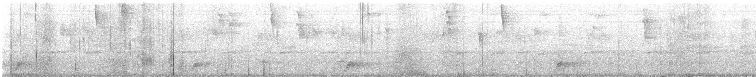 Whiskered Wren - ML643309673