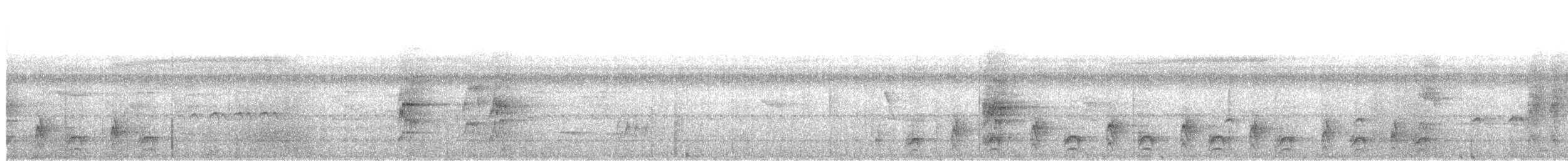 Jet Antbird - ML643309731