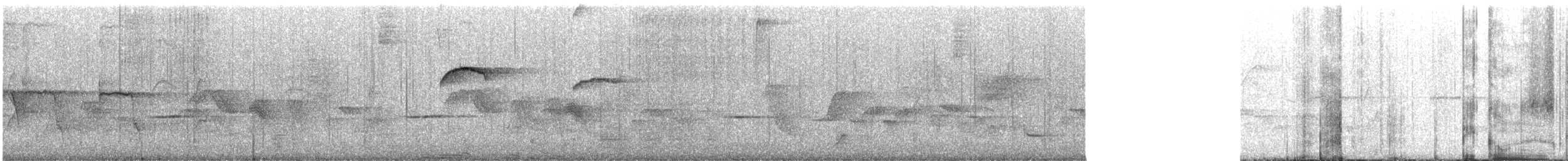 Ecuadorian Piculet - ML643309783