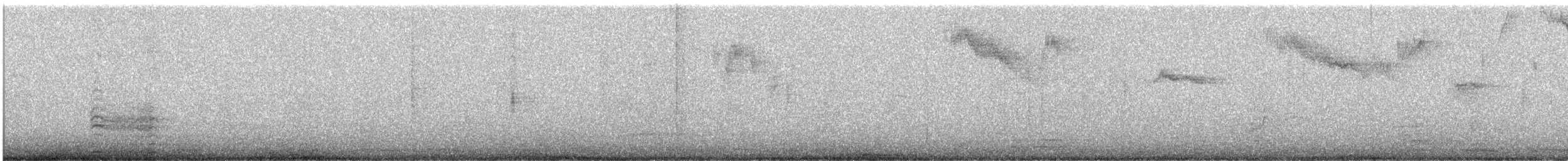 White-winged Dove - ML643309807
