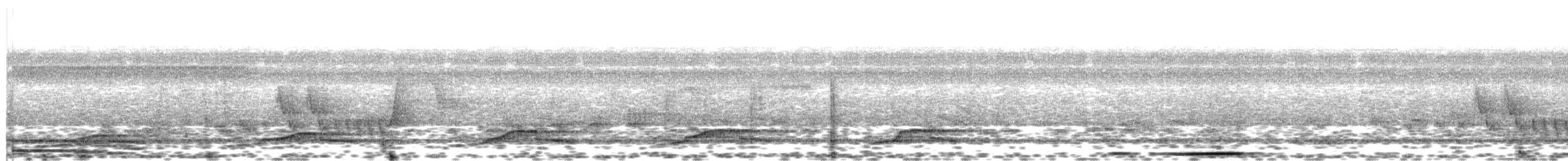 Gray-lined Hawk - ML643310202