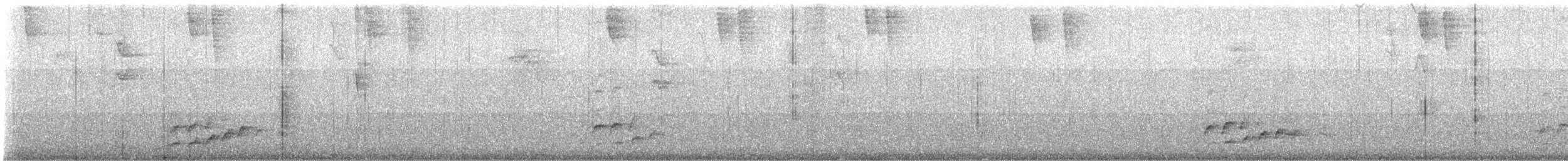 Olivgrau-Ameisenvogel - ML643310782