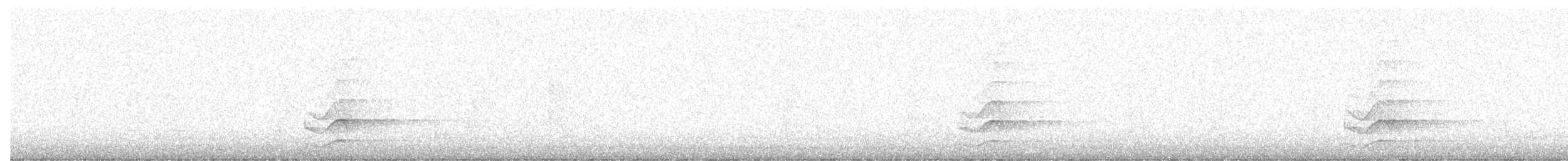 kattugle - ML643310804