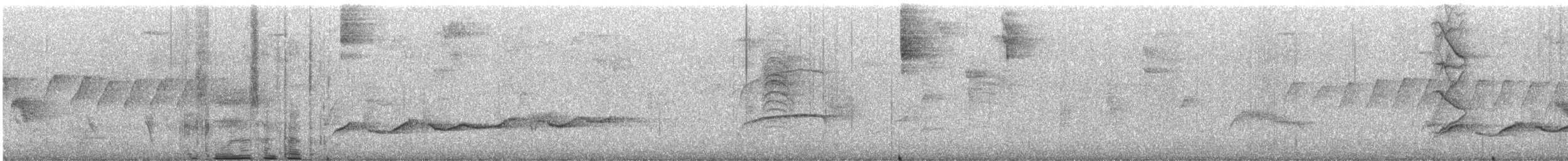 bird sp. - ML643310806