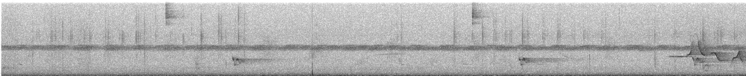 bird sp. - ML643310815