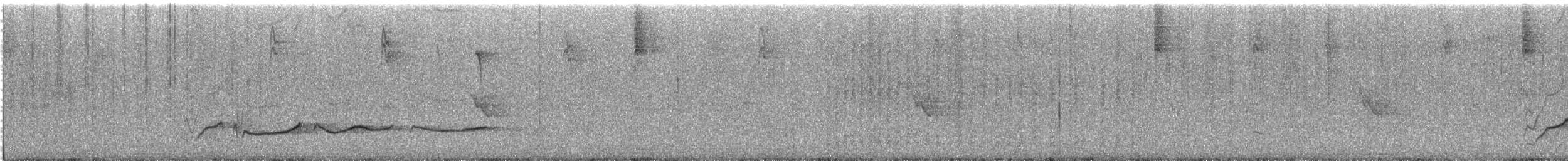 bird sp. - ML643310823