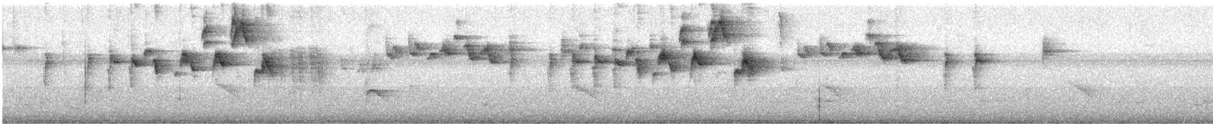 Gray-throated Warbler - ML643310850