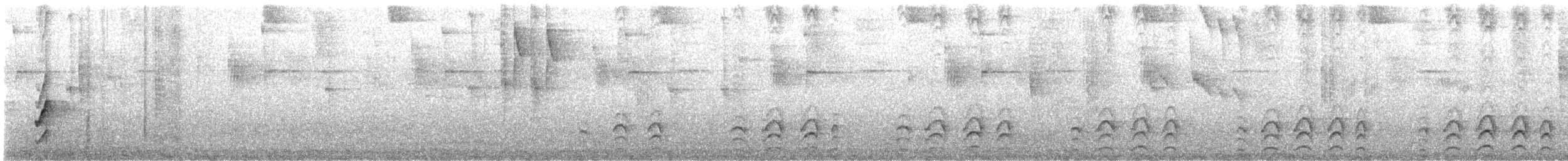 Caracas Tapaculo - ML643311097