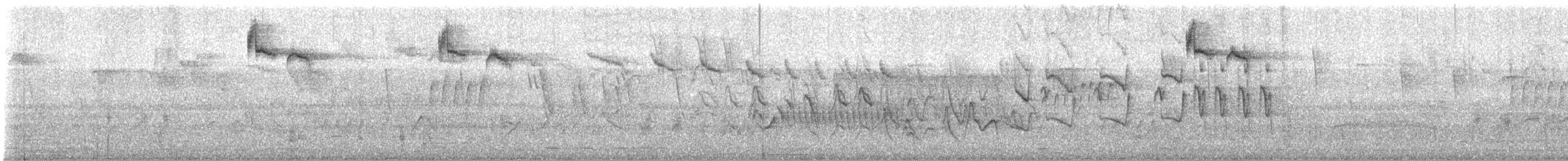 Ariane de Sophie - ML643311217