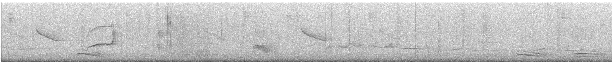 bird sp. - ML643311242