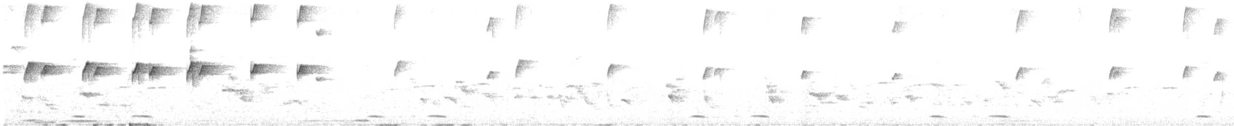 maracaibotodityrann - ML643311679