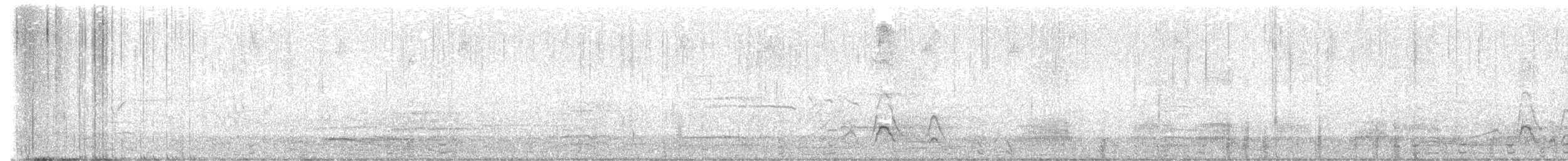 American Wigeon - ML643311855