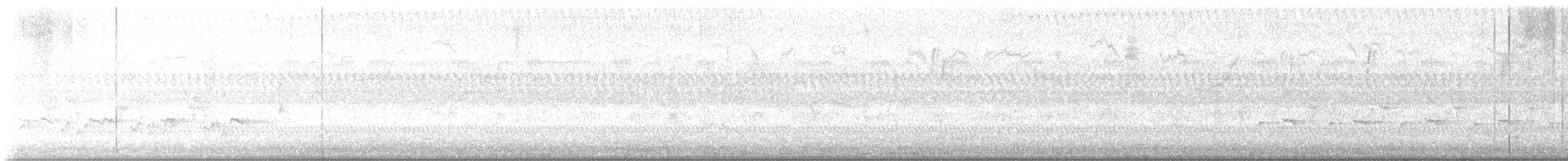 Carolina Wren - ML643312144
