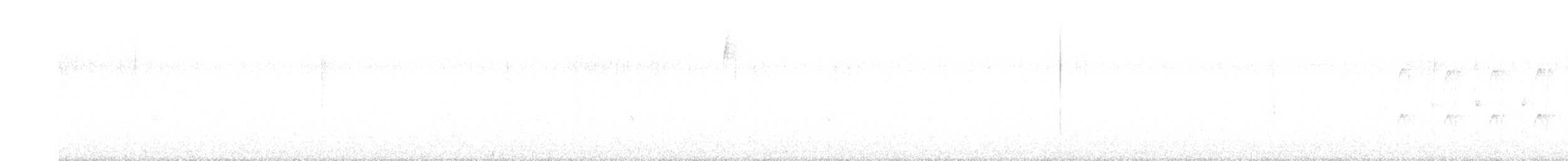 Des Murs's Wiretail - ML643312737