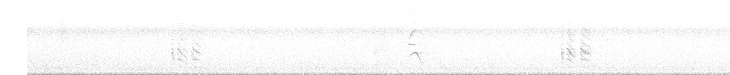 Austral Blackbird - ML643313053
