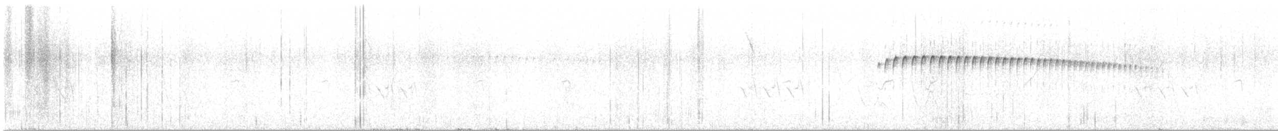 datlíček proužkobřichý - ML643313089