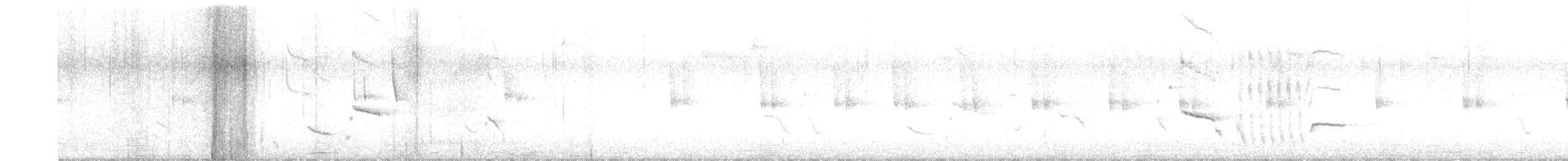 Austral Blackbird - ML643314089