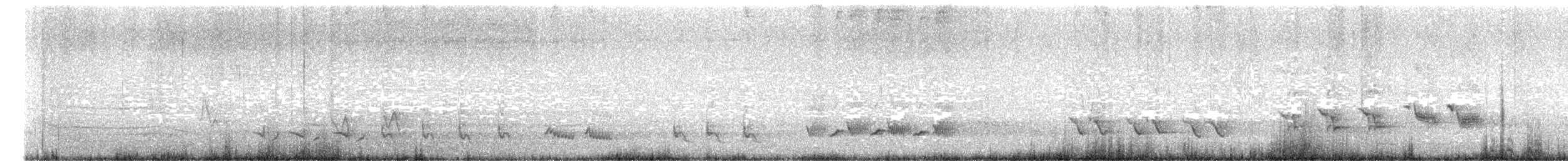 Northern Mockingbird - ML643315955