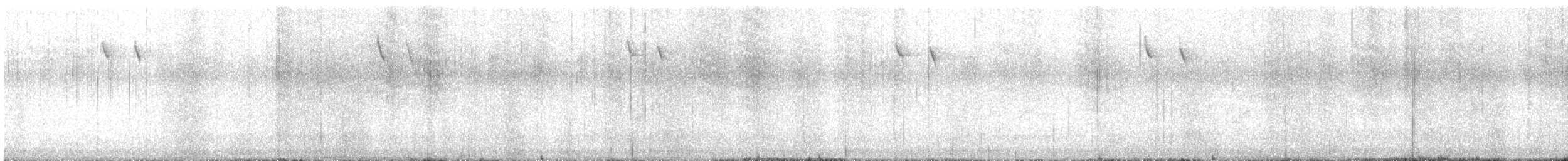 Bachman's Sparrow - ML643317148