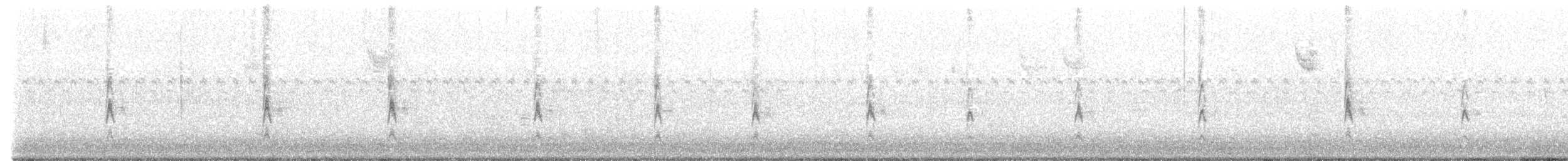 Song Sparrow (melodia/atlantica) - ML643317708