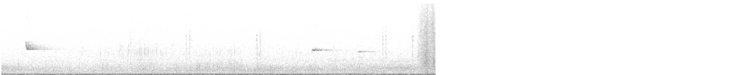 Colibri circé - ML643317867