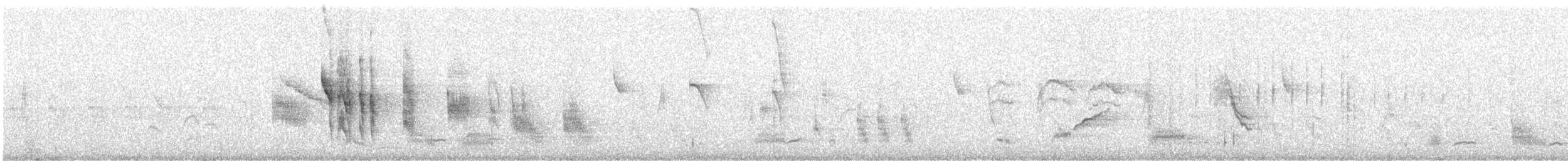 Tumbesian Tyrannulet - ML643317900