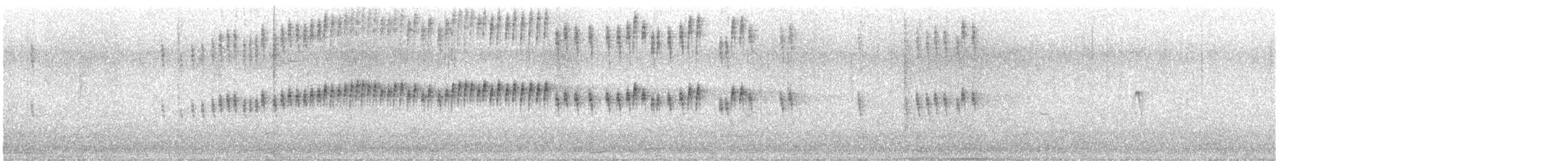 Tropical Kingbird - ML643318854