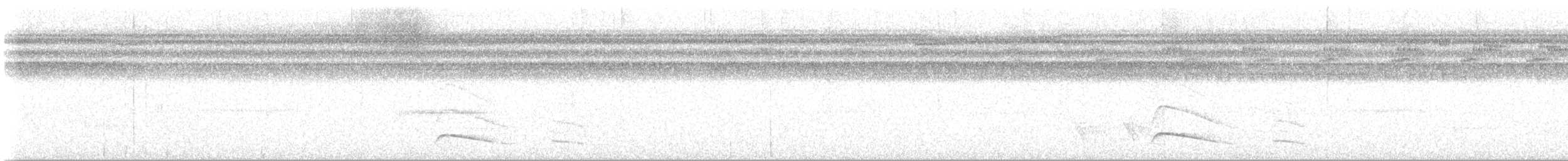 Dusky-tailed Flatbill - ML643319490