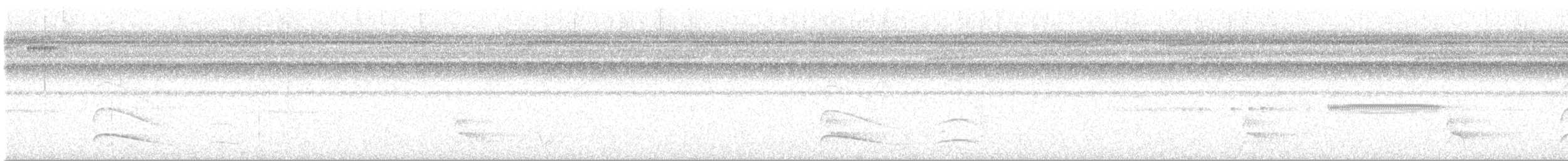 Dusky-tailed Flatbill - ML643319492