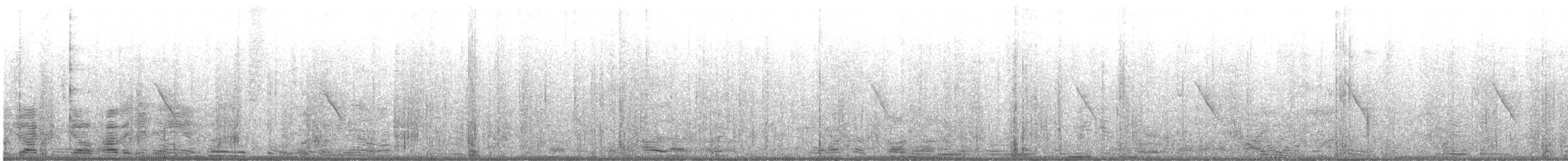 Black Phoebe (Northern) - ML643319782