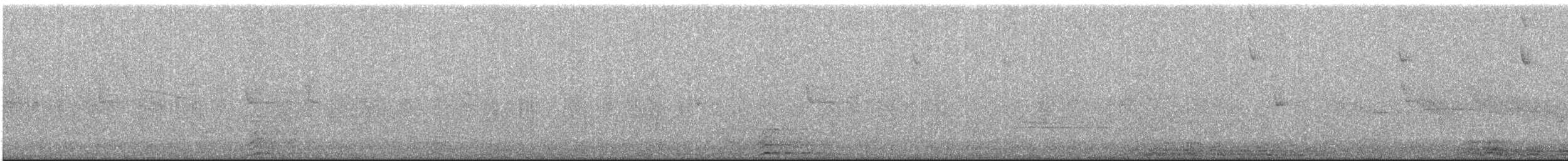 Cinereous Conebill - ML643320327