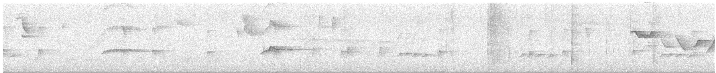 Piratic Flycatcher - ML643320805