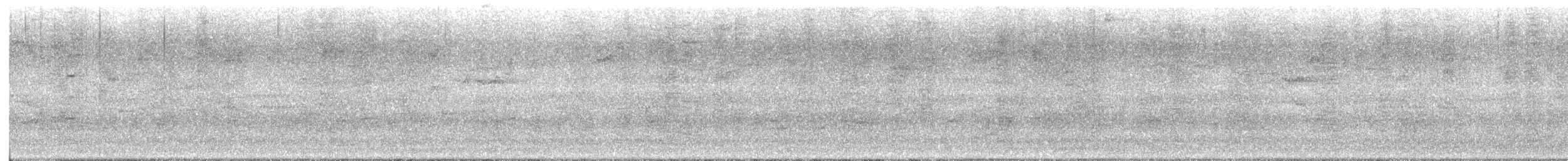 Quiscale bronzé - ML643320829