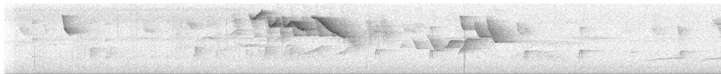 Half-collared Sparrow - ML643320934