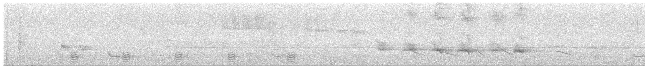 Rio de Janeiro Antbird - ML643321549