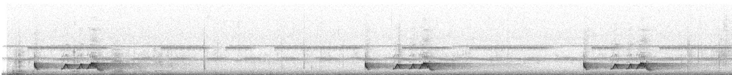 アカヨタカ - ML643321818