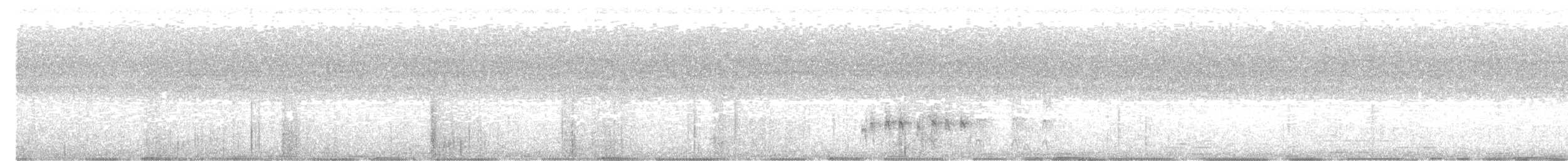 kamenáček pestrý - ML643322104