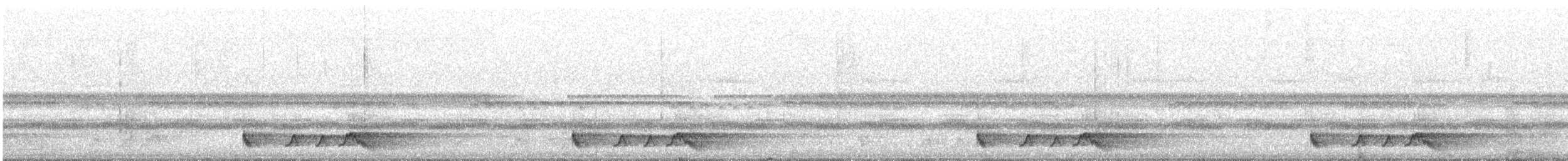 アカヨタカ - ML643322623