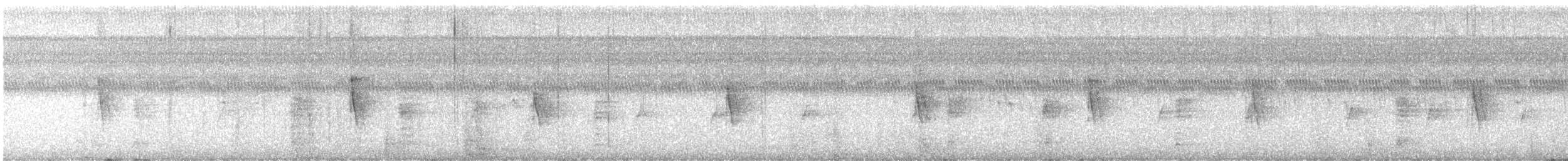 Chestnut-sided Warbler - ML643323376