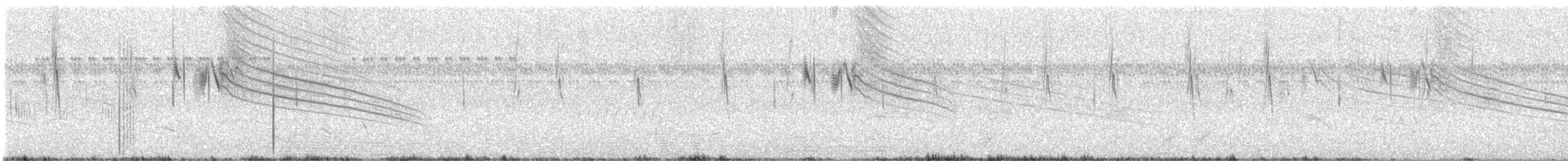 Yellowish Pipit - ML643323444