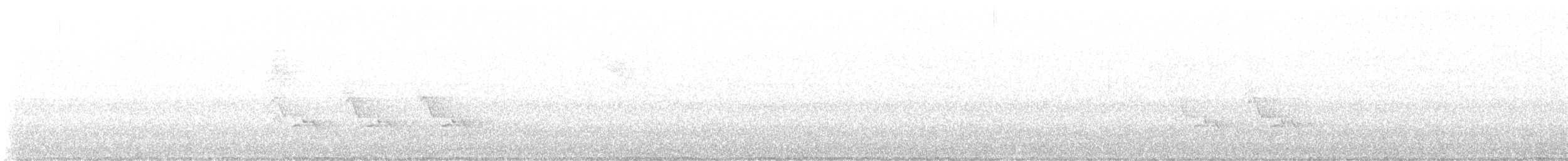 Carolina Wren - ML643323697