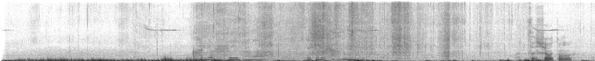 modravec siný - ML643324884