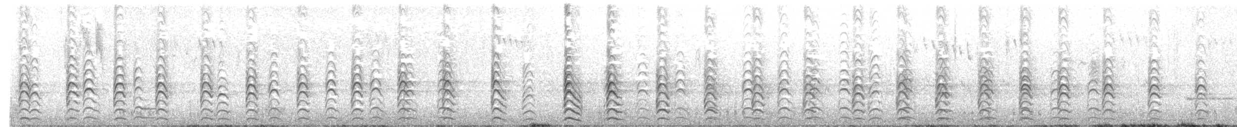 オーストラリアセイタカシギ - ML643327277