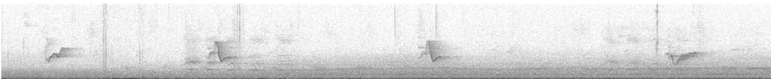 Viréo de Cassin - ML643328714