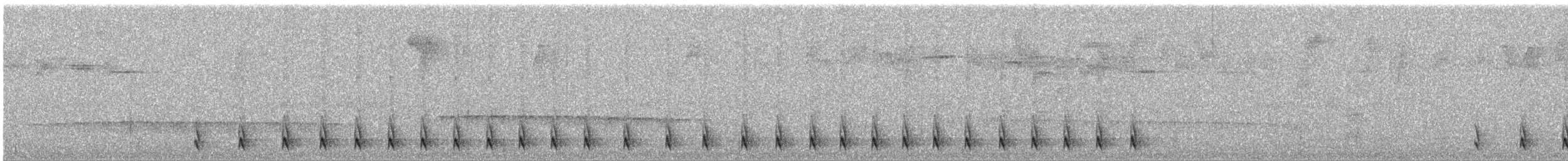 Тапакуло колумбійський - ML643328965