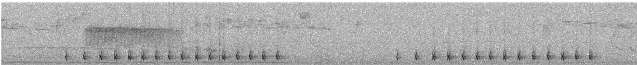 Тапакуло колумбійський - ML643328975